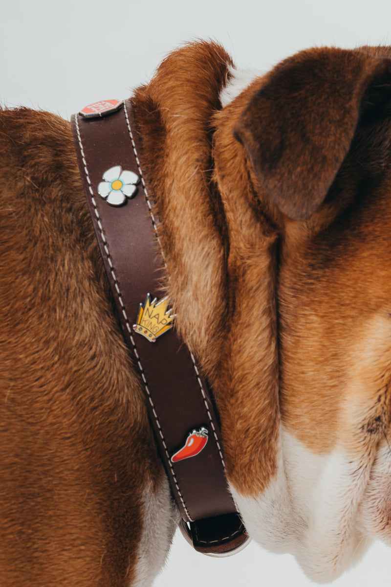 Handcrafted luxury leather collar by Mou Mou Couture with removable charms displayed on white background