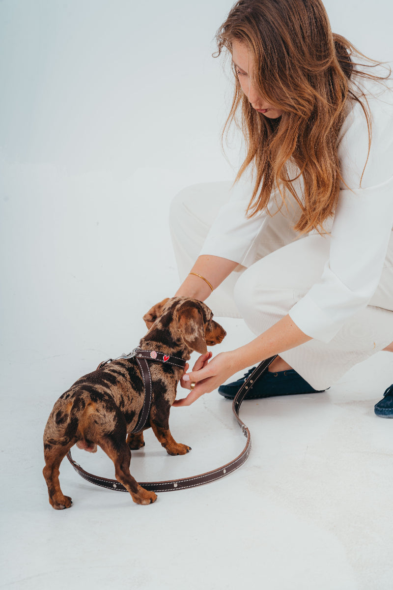 Handcrafted luxury leather harness for dogs by Mou Mou Couture with stainless steel accessories and removable charms displayed on a white background