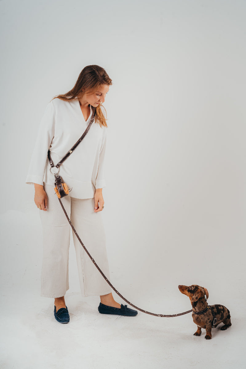 Handcrafted dog leash and harness in real leather by Mou Mou Couture on a dachshund on white background