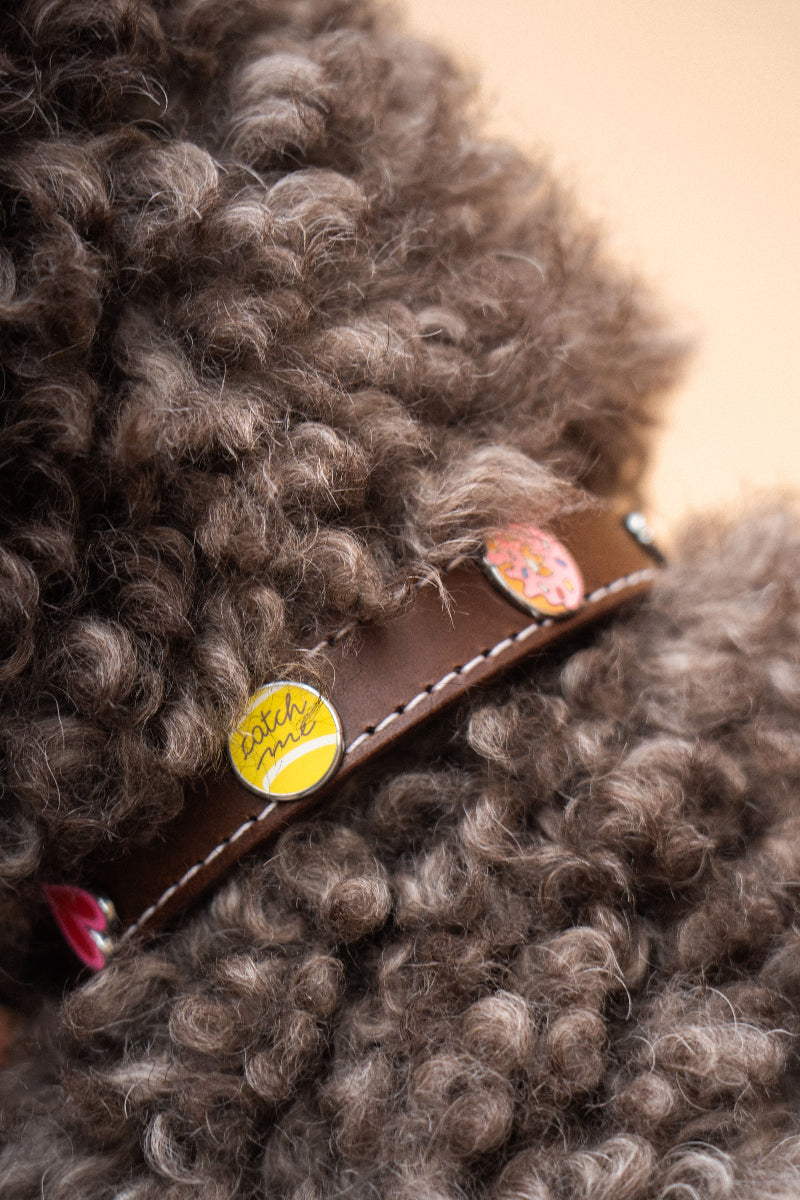 Handcrafted leather luxury collar for dogs details on the removable charms