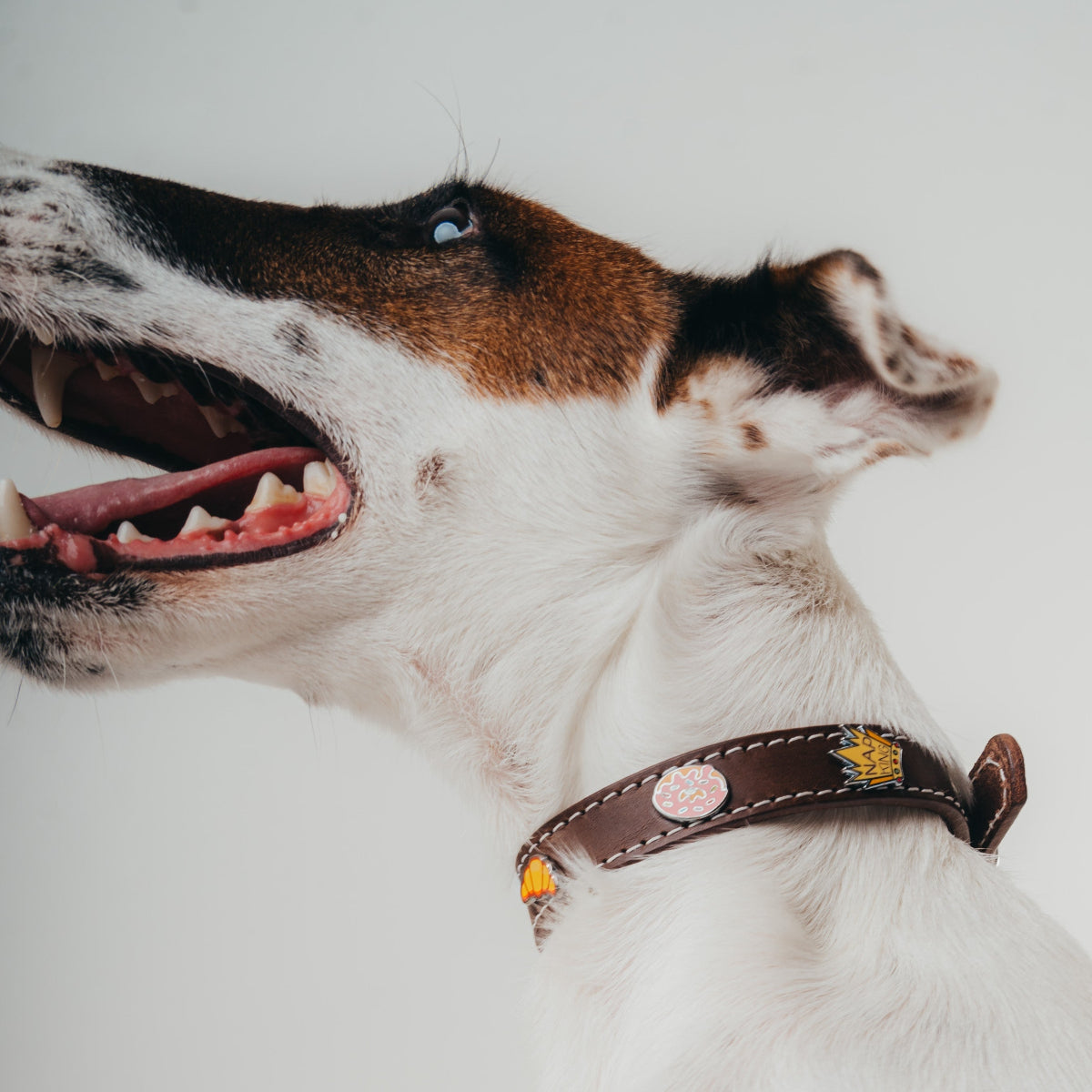 Handcrafted luxury leather collar by Mou Mou Couture with removable charms displayed on white background