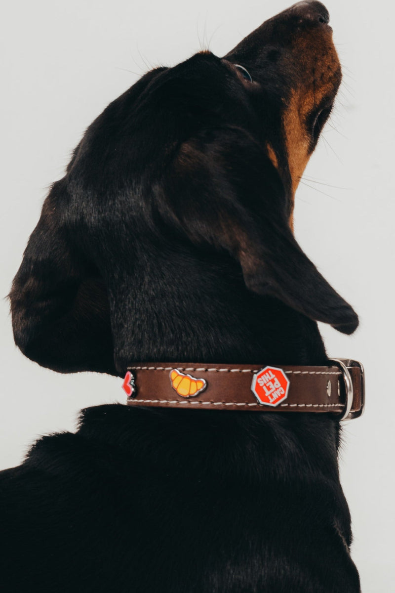 Handcrafted luxury leather collar by Mou Mou Couture with removable charms displayed on white background