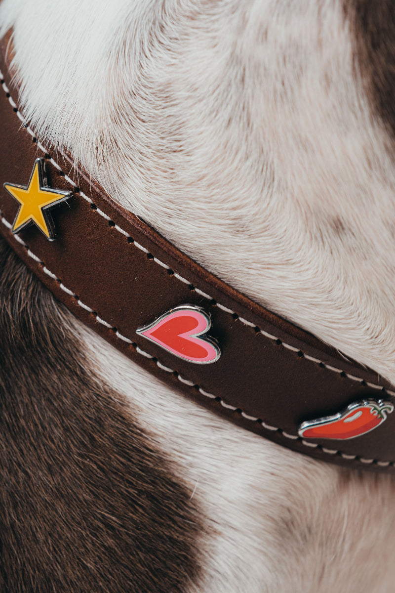 Handcrafted luxury leather collar by Mou Mou Couture with removable charms detail