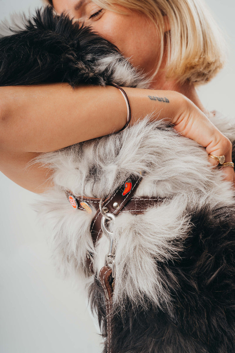 Handmade luxury leather harness for dogs with removable metal charms by Mou Mou Couture on a dog on a white background