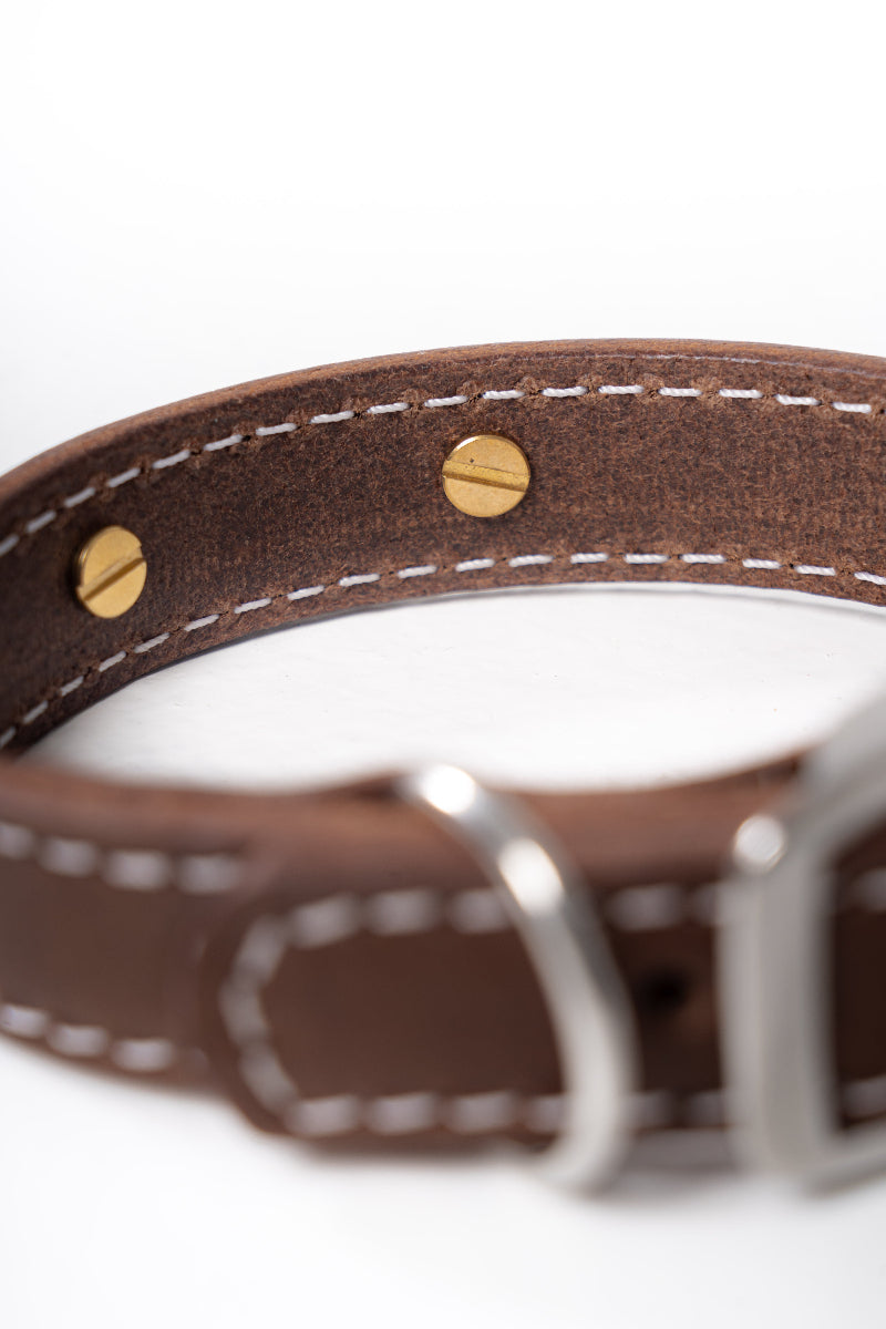 Handcrafted luxury leather collar by Mou Mou Couture with detail on closure of removable charms displayed on white background
