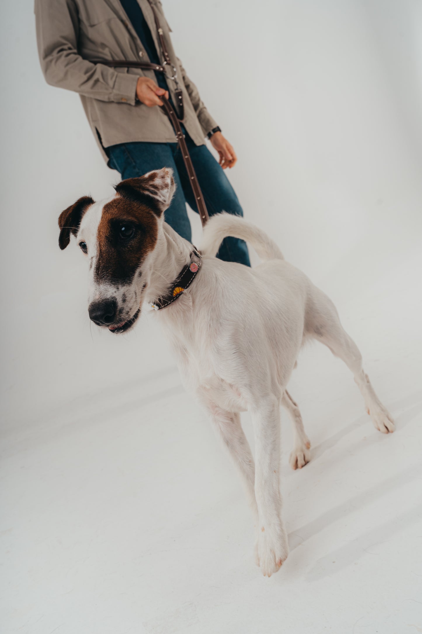 Handmade luxury dog leash by Mou Mou Couture for dogs 