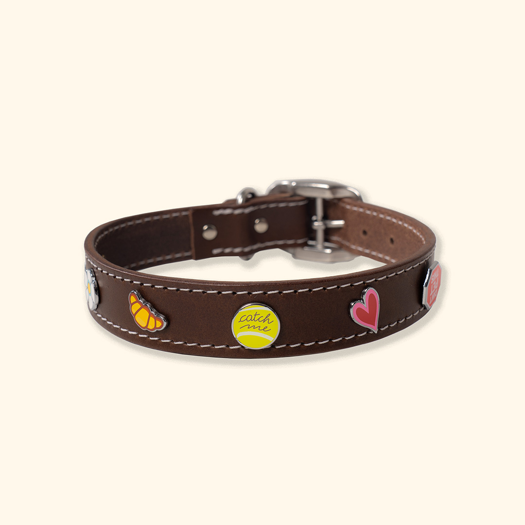 home-carousel-collar-1